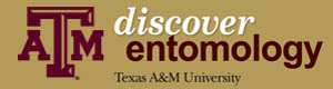 Texas A & M link to discover entomology